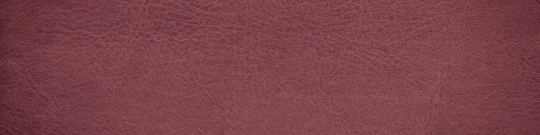 ChiSo Burgundy Background