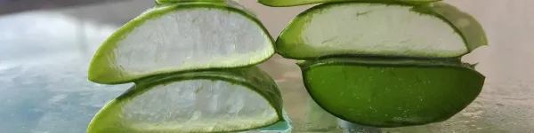 Aloe Vera Westcoast Background