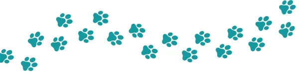 The Pampered Pooch Background