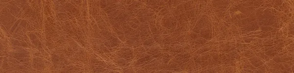 CDP Handbags Background