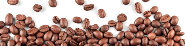 Terbodore Coffee Roasters Background